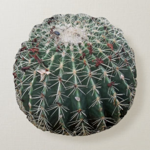 Barrel Cactus Southwest Design Wüste Pflanze Rundes Kissen