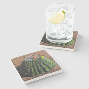 Barrel Cactus Stone Untersetzer