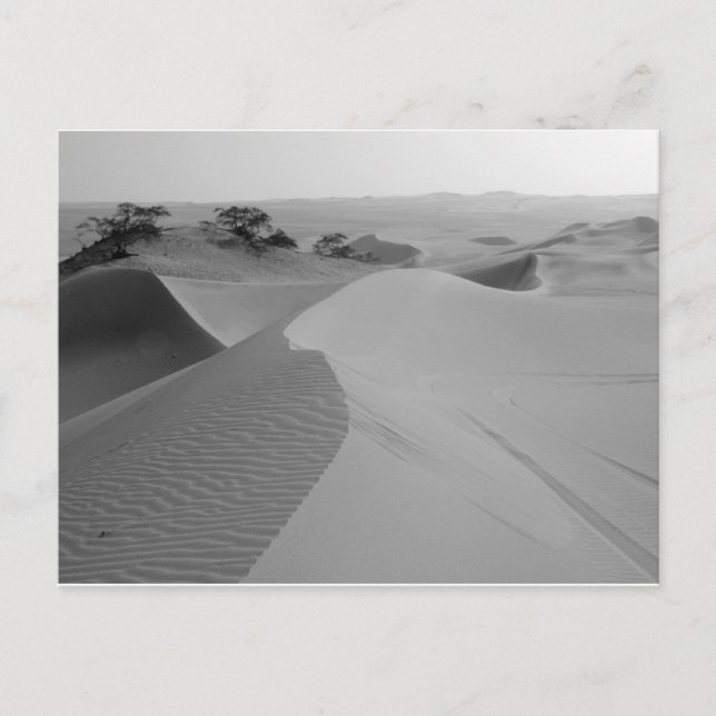 Barren Postkarte (Vorderseite)