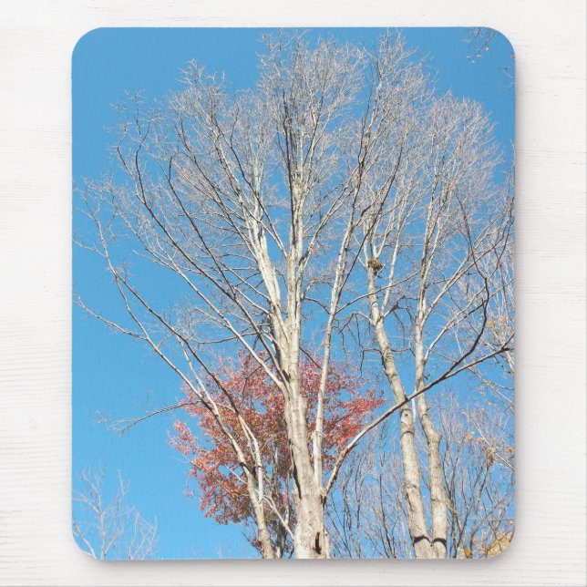 Barren Trees Mousepad (Vorne)