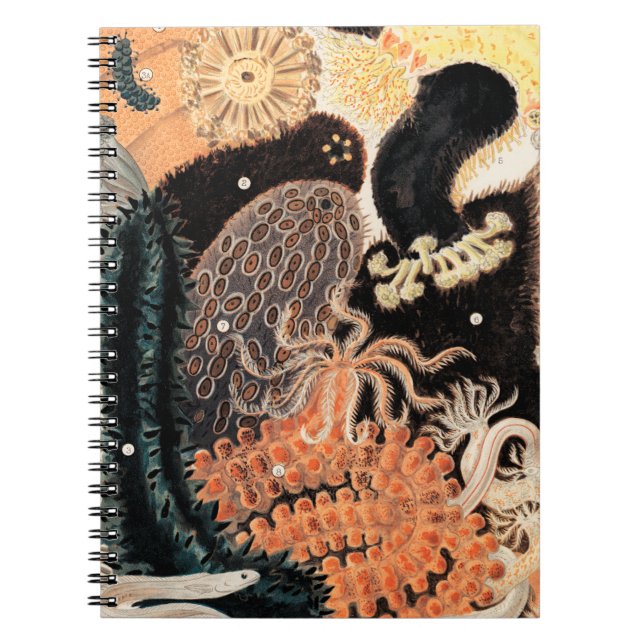 Barrier Reef Anemones Notizblock (Vorderseite)