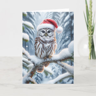 BARRIERTEULE WEIHNACHTEN - WILDLIFE