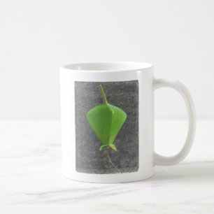Barringtonia Acutangula Kaffeetasse