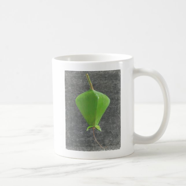 Barringtonia Acutangula Kaffeetasse (Rechts)