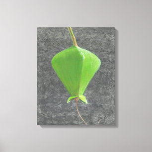Barringtonia Acutangula Leinwanddruck