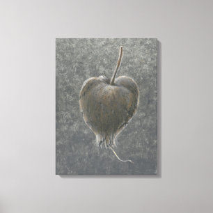 Barringtonie Acutangula 2 Leinwanddruck