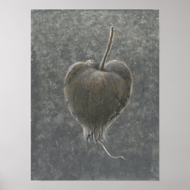 Barringtonie Acutangula 2 Poster (Vorne)