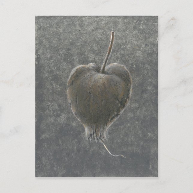 Barringtonie Acutangula 2 Postkarte (Vorderseite)