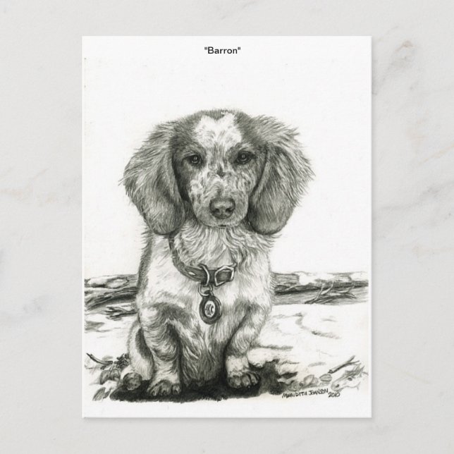 Barron Postkarte (Vorderseite)