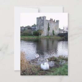Barrow River Swan, White's Castle Athy Co. Postkarte