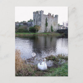 Barrow River Swan, White's Castle Athy Co. Postkarte