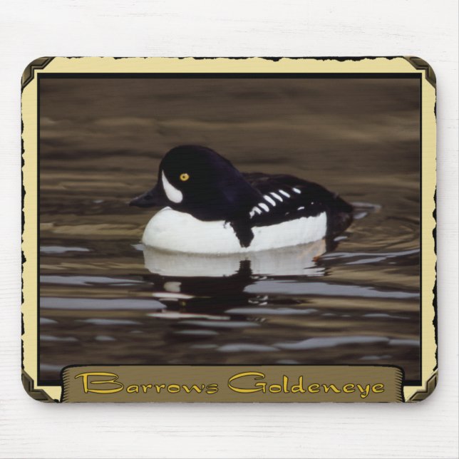 Barrows Goldeneye auf Calm Lake Mousepad (Vorne)