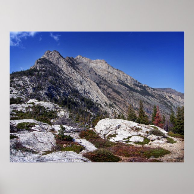 Bars Hump I Poster (Vorne)