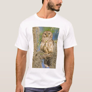 Barscheule (Strix varia) auf einer Zypresse sitzen T-Shirt