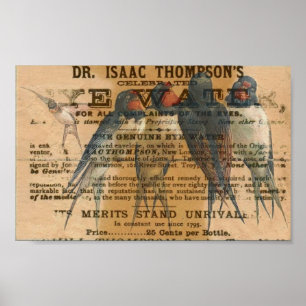 Barschschwein Vintag Poster