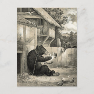 Bart - Bär, Hund und Esel Postkarte