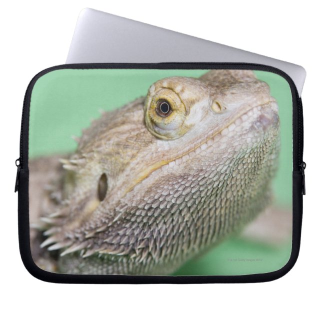 Bartagame 2 laptopschutzhülle (Vorderseite)