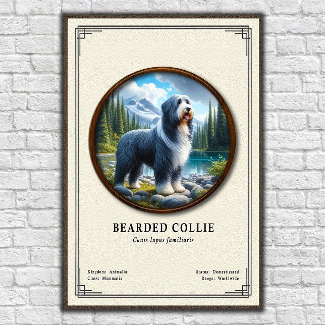 Bartcollie-Zoologie-Serie Poster (Von Creator hochgeladen)