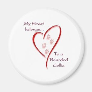 Bartded Collie Heart Belongs Magnet