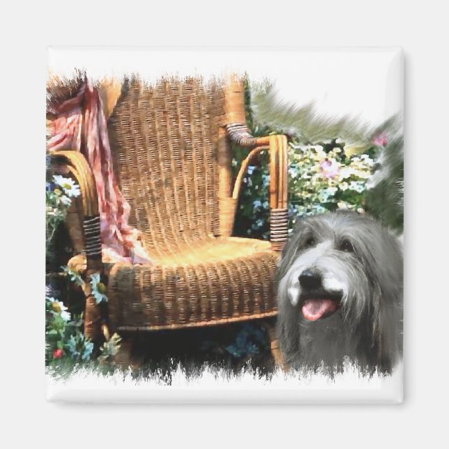 Bartded Collie Kunstgeschenke Magnet (Vorne)