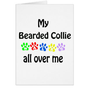 Bartded Collie Walks Design
