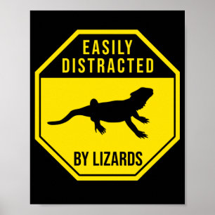 Bartdrache leicht von Lizards abgelenkt Poster
