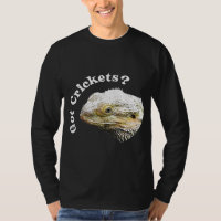 Bartdrache Lizard Got Crickets Reptile Pagona