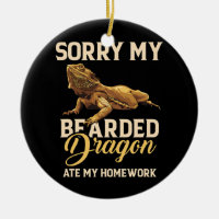 Bartdrache Niedlich Lizard Beardie Ate My