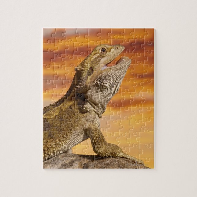 Bartdrache (Pogona Vitticeps) auf Felsen, Puzzle (Vertikal)
