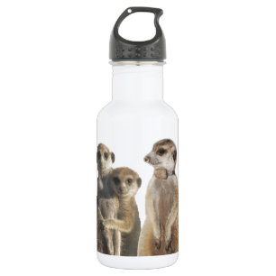 Bärte Edelstahlflasche