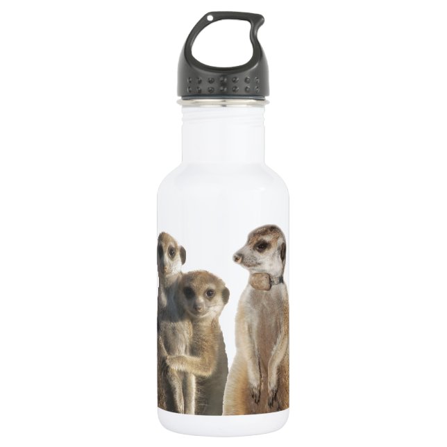 Bärte Edelstahlflasche (Vorderseite)