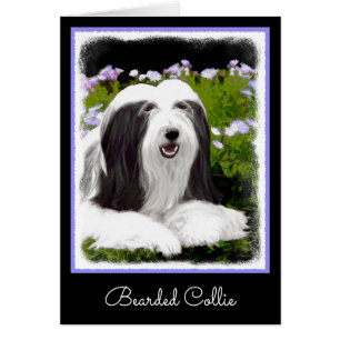 Bartete Collie Malerei - Niedliche Original Hunde