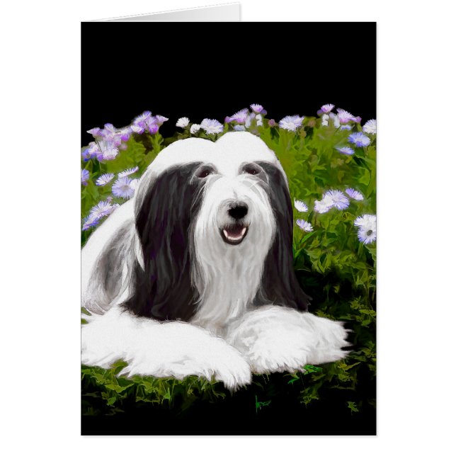 Bartete Collie Malerei - Niedliche Original Hunde  (Vorne)