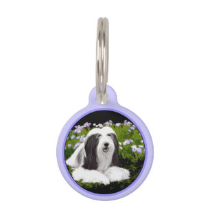 Bartete Collie Malerei - Niedliche Original Hunde Haustiermarke