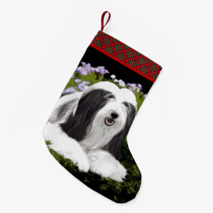 Bartete Collie Malerei - Niedliche Original Hunde Kleiner Weihnachtsstrumpf