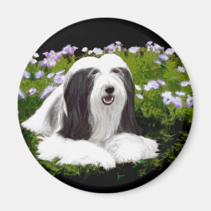 Bartete Collie Malerei - Niedliche Original Hunde  Magnet
