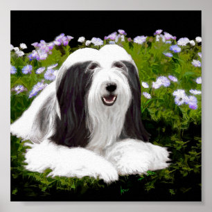 Bartete Collie Malerei - Niedliche Original Hunde  Poster