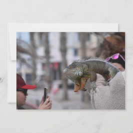 Bartete Drache am Meer Postkarte Paphos