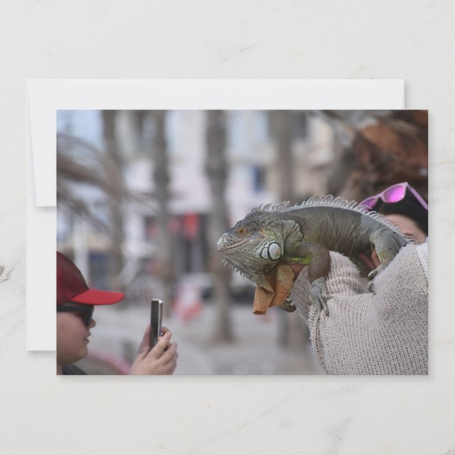 Bartete Drache am Meer Postkarte Paphos (Vorderseite)