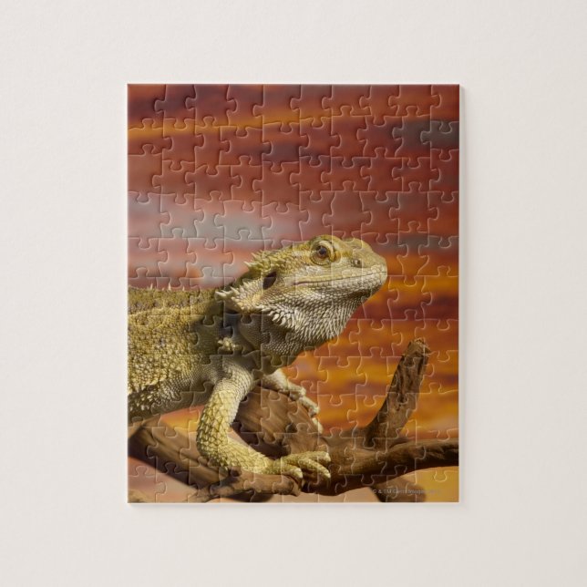 Bartete Drache (Pogona Vitticeps) auf Zweig, Puzzle (Vertikal)