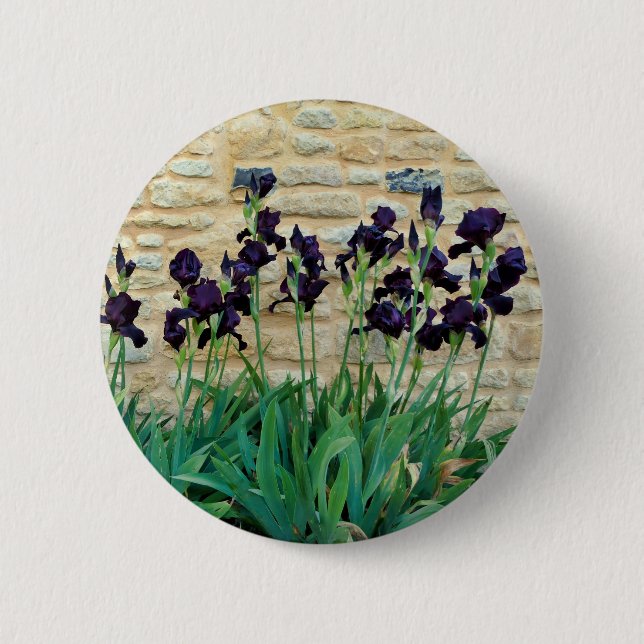 Bartetes Iris-Abzeichen Button (Vorderseite)