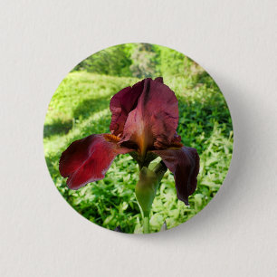 Bartetes Iris-Abzeichen Button