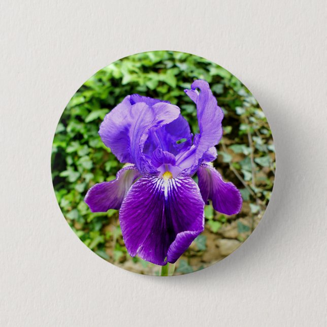 Bartetes Iris-Abzeichen Button (Vorderseite)