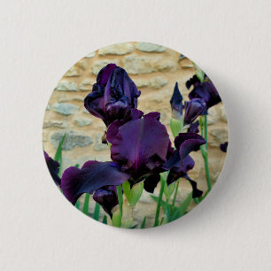 Bartetes Iris-Abzeichen Button