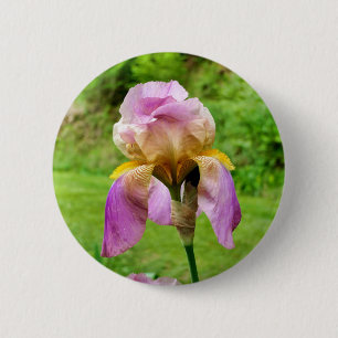 Bartetes Iris-Abzeichen Button
