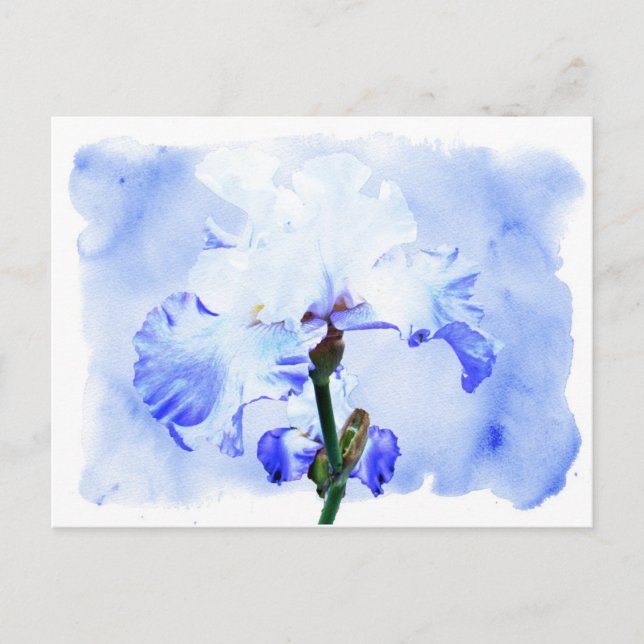 Barti - blau und weiß postkarte (Vorderseite)
