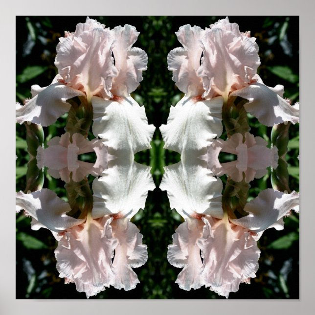 Barti-Blume Nah Abstrakt Poster (Vorne)