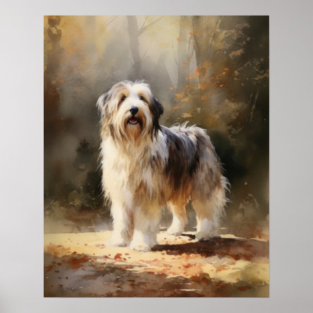 Barti Collie Dog Art Print Poster (Vorne)