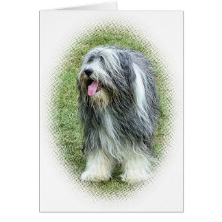 bärtige Collie Karte