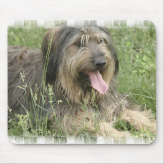 Bärtige Collie-Mausunterlage Mousepad